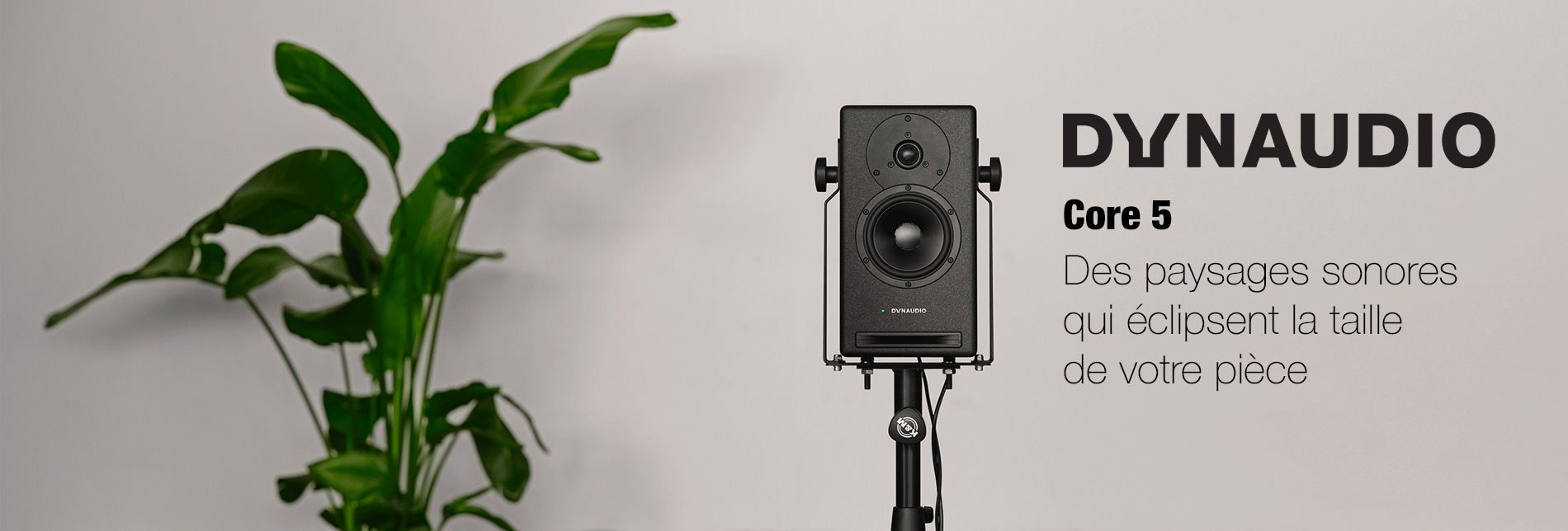 DYBAUDIO : CORE5